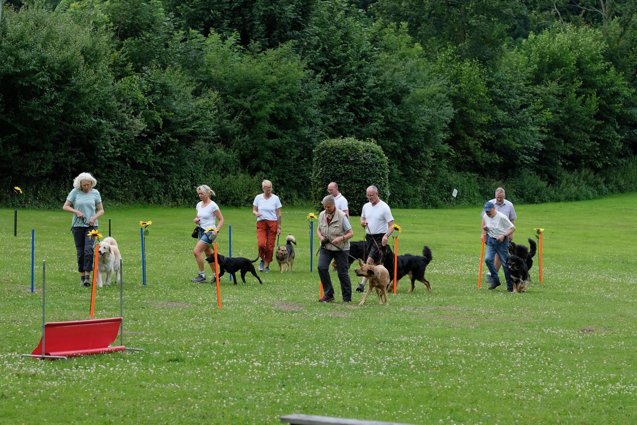 Image58